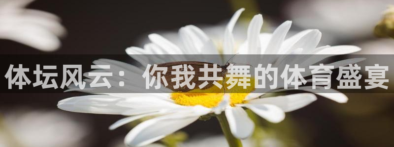 MK体育官网下载招商电话号码是多少啊：体坛风云：你我