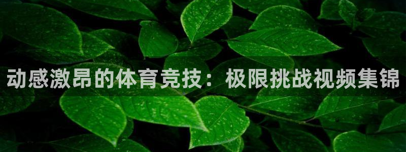 MK体育官方正版app娱乐下载：动感激昂的体育竞技：极限挑战