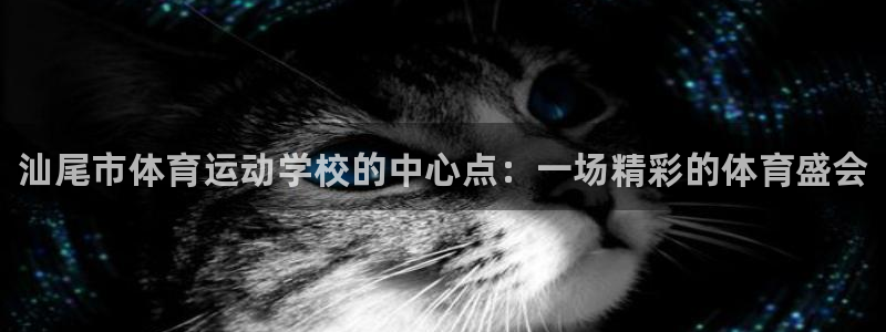 MK体育官网下载开户：汕尾市体育运动学校的中心点：一场精彩的