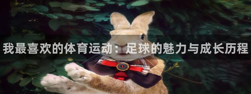 MK体育官方正版app神州：我最喜欢的体育运动：足球