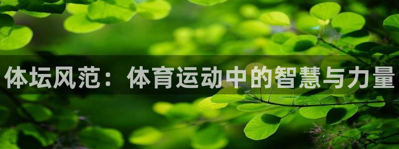 海南MK体育官网下载：体坛风范：体育运动中的智慧与力量