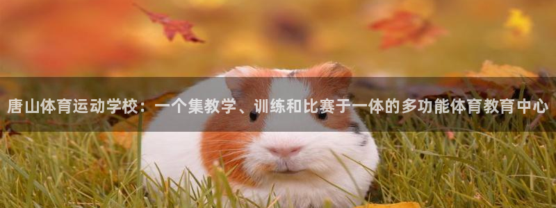 MK体育官网下载招商电话地址：唐山体育运动学校：一个