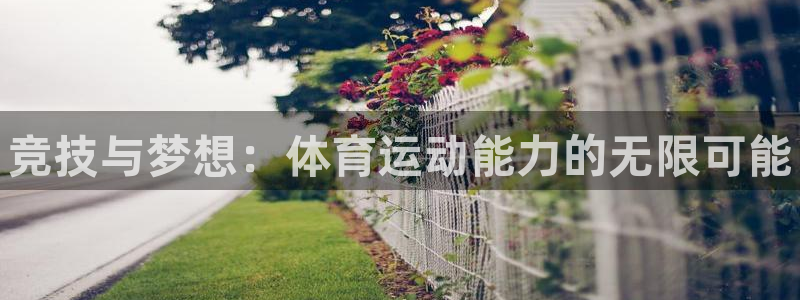 MK体育官方正版app官网：竞技与梦想：体育运动能力的无限可