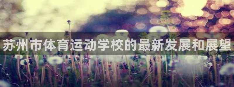 MK体育官方正版app集团E.ON：苏州市体育运动学校的最新