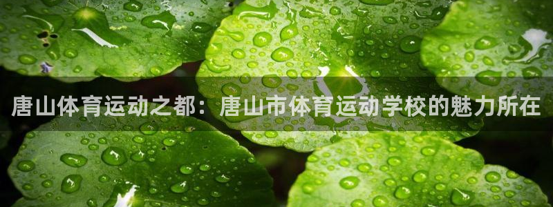 MK体育官方正版app官方：唐山体育运动之都：唐山市