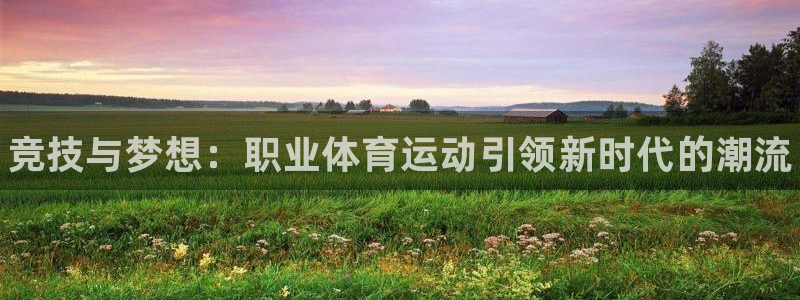 MK体育官网下载官方客服电话：竞技与梦想：职业体育运