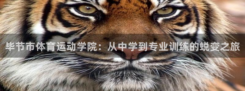 MK体育官方正版app官方：毕节市体育运动学院：从中