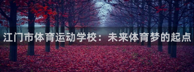 MK体育官方正版app官方：江门市体育运动学校：未来