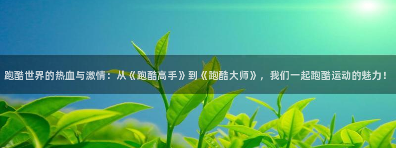 MK体育官方正版app五金厂：跑酷世界的热血与激情：