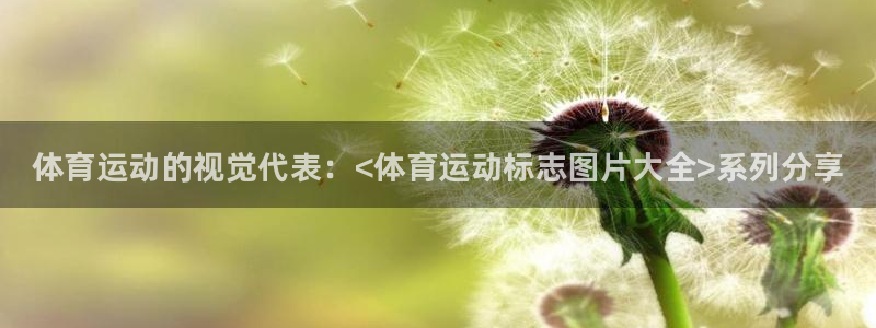 MK体育官方正版app娱乐平台：体育运动的视觉代表：