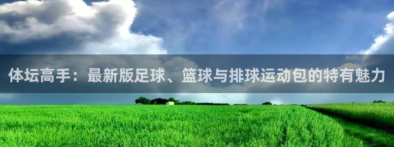 海南MK体育官网下载：体坛高手：最新版足球、篮球与排球运动包
