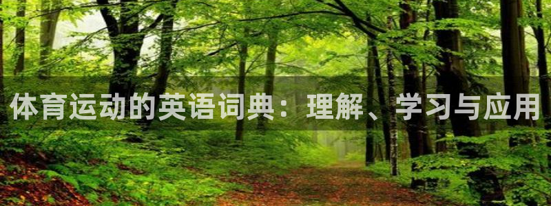 MK体育官方正版app娱乐首页官网下载：体育运动的英语词典：