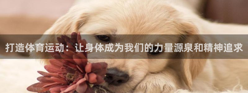 MK体育官网下载平台：打造体育运动：让身体成为我们的