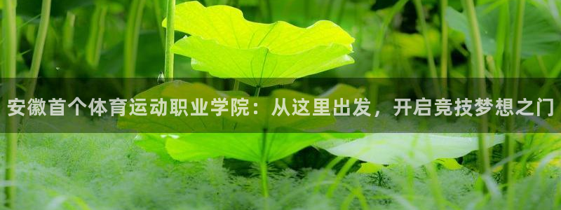 MK体育官网下载娱乐：安徽首个体育运动职业学院：从这里出发，
