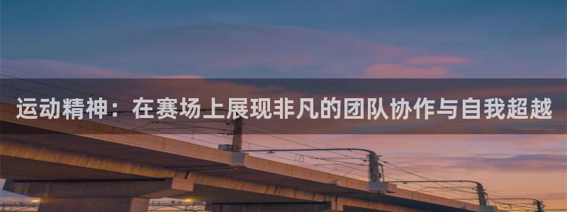 MK体育官方正版app开户：运动精神：在赛场上展现非凡的团队