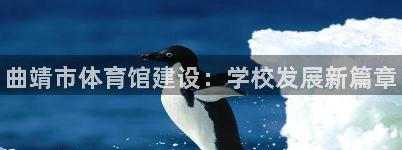 MK体育官方正版app集团官网首页：曲靖市体育馆建设