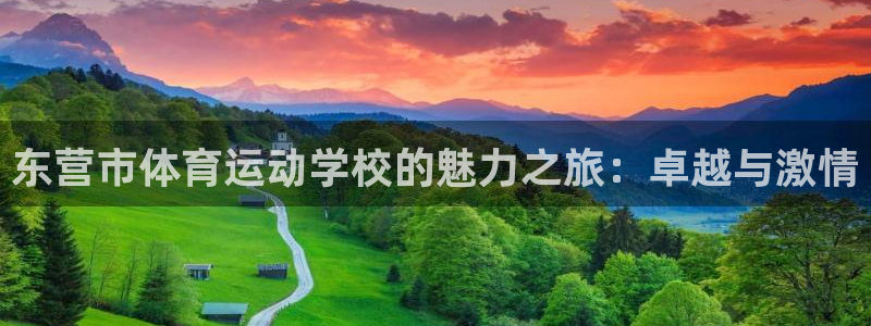 MK体育官网下载注册：东营市体育运动学校的魅力之旅：卓越与激