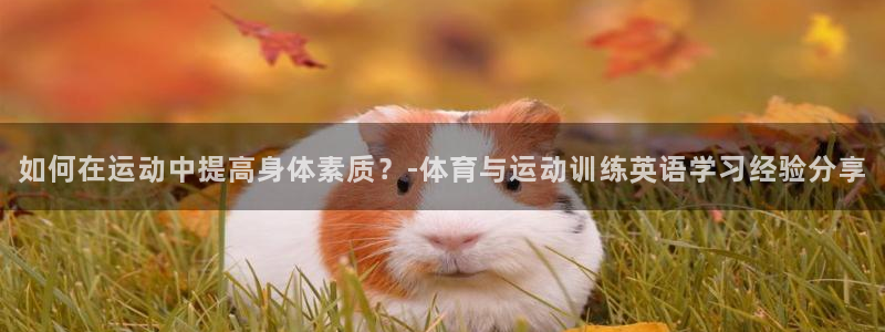 MK体育官方正版app集团官网首页网址：如何在运动中提高身体