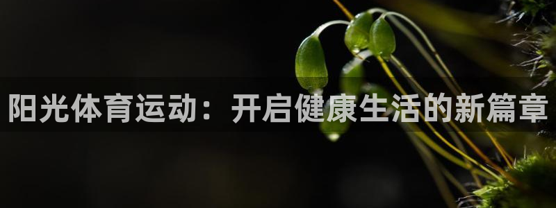 MK体育官网下载招商电话是多少啊：阳光体育运动：开启健康生活