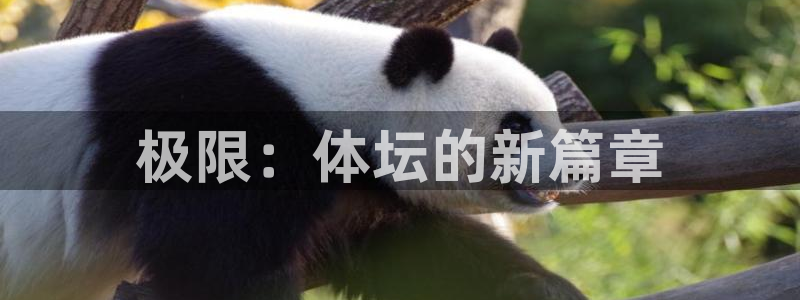 MK体育官网下载平台注册流程视频：极限：体坛的新篇章