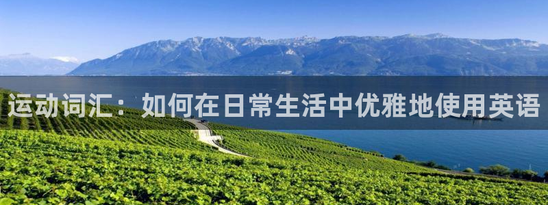 MK体育官网下载招商电话：运动词汇：如何在日常生活中