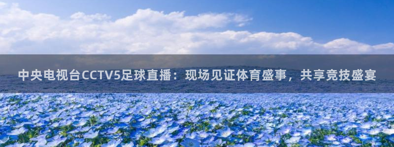 小九看球直播：中央电视台CCTV5足球直播：现场见证体育盛事，共享竞技盛宴