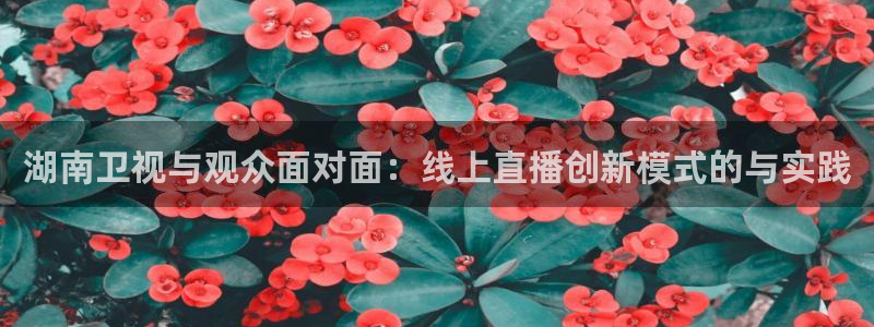 小九nba免费直播：湖南卫视与观众面对面：线上直播创新模式的与实践