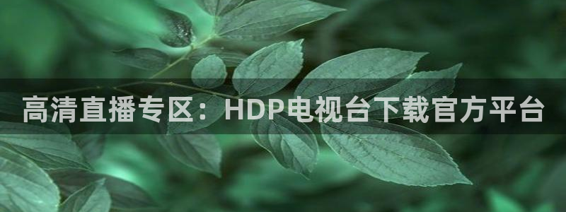 nba赛程直播在线观看视频小九：高清直播专区：HDP电视台下载官方平台