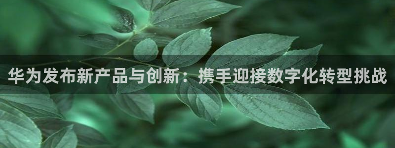 小九直播nba免费观看下载：华为发布新产品与创新：携手迎接数字化转型挑战