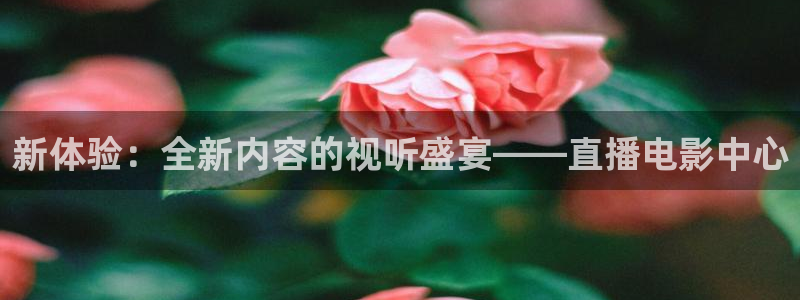 小九足球直播免费观看：新体验：全新内容的视听盛宴——直播电影中心