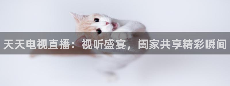 小九体育直播在线观看：天天电视直播：视听盛宴，阖家共享精彩瞬间